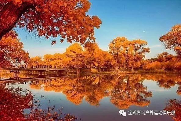 万词王